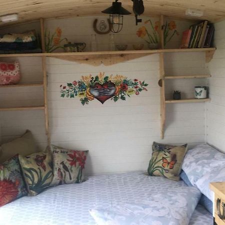 Hotel Clydesdale Shepherds Hut Belfast Exteriér fotografie