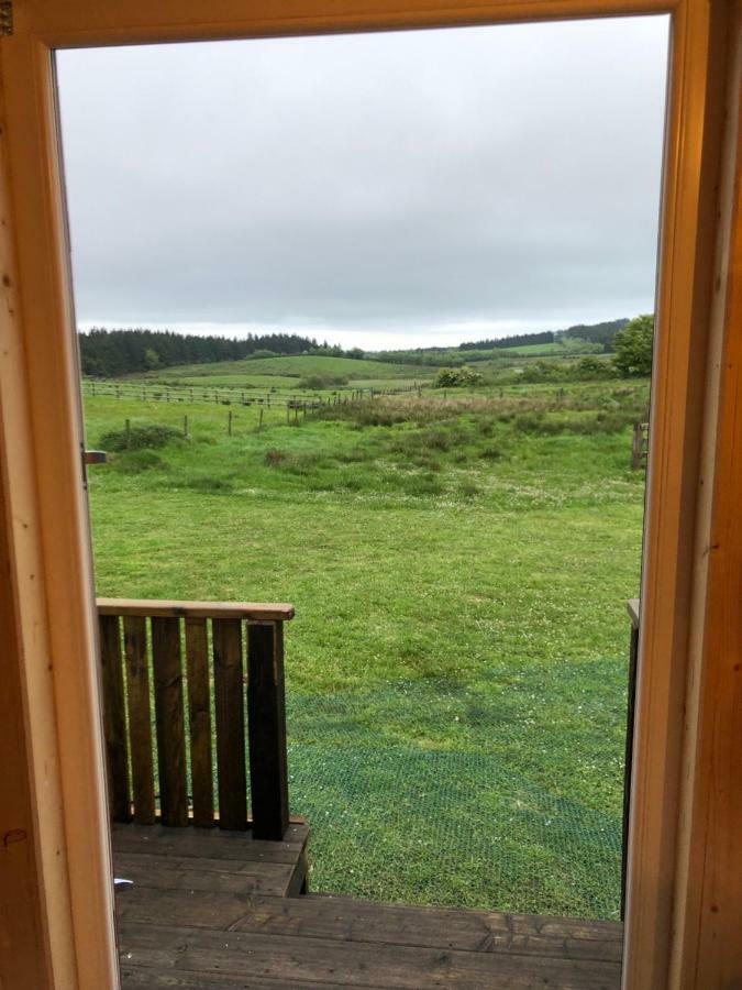 Hotel Clydesdale Shepherds Hut Belfast Exteriér fotografie